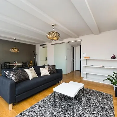 Apartment Karlin Prague