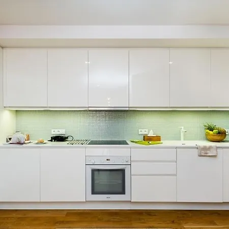 Karlin Apartment Prague